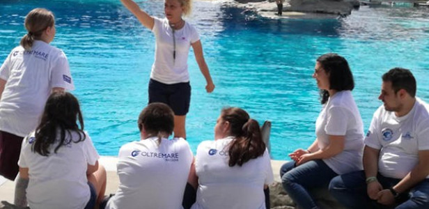 DOLPHIN EXPERIENCE - Incontra il delfino