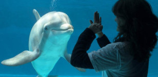 Diventa protagonista