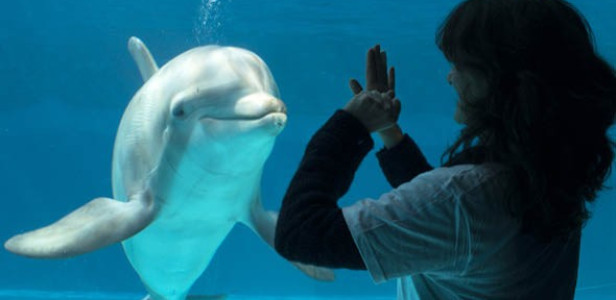 TRAINING EXPERIENCE - Trainer for a day